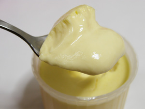 cf_silkpuding4.jpg